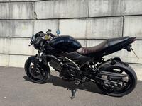 SUZUKI SV650X