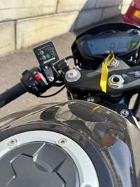 SUZUKI SV650X