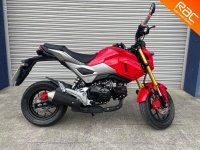 HONDA MSX125