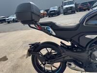 CFMOTO 300CL-X